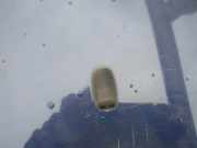 Waschwasserdüse Scheibenreinigung Ford Focus, 1998.10 - 2002.10 Gebraucht,