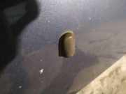 Waschwasserdüse Scheibenreinigung Ford Focus, 2004.11 - 2008.06 Gebraucht,