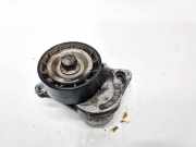 Spannrolle Nissan Qashqai, I 2006.01 - 2010.06 117507568R,