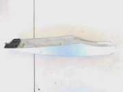 Dachreling - Vorne Linke Peugeot 4007 2007 - 2012 7661a107,