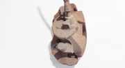Bremssattel - Vorne Linke Ford Focus, 2004.11 - 2008.06 813,