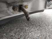 Türfangband Türbremse Türstopper - Vorne Rechts Seat Cordoba I 1999.06 - 2002.06 facelift Gebraucht,