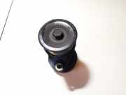 Riemenscheibe für Generator Ford Focus, 1998.10 - 2002.10 tf10924,