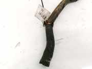 Kühlerschlauch Peugeot 1007, 2005.04 - 2009.12 Gebraucht,