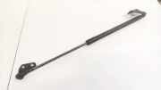Gasdruckfeder Kofferraum Nissan Qashqai, I 2006.01 - 2010.06 Gebraucht,