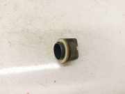Blende Scheinwerfer - Vorne Mercedes-Benz W204, 2007.01 - 2011 1305219106,1305219106