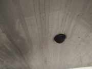 Waschwasserdüse Scheibenreinigung Opel Vectra, B 1995.09 - 2000.09 Gebraucht,