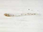 Sto?stangenhalter - Vorne Mitsubishi Grandis, I 2004.01 - 2009.12 Gebraucht,