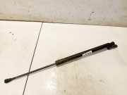Gasdruckfeder Kofferraum Renault Scenic, III 2009.02 - 2013.06 904500004r,