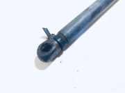 Gasfeder f?r Motorhaube Ford Fiesta, V 2005.03 - 2008.12 facelift Gebraucht,