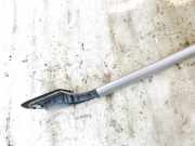 Dachreling Rechts Renault Laguna, II 2001.03 - 2006.05 8200185729,