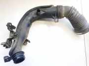 Intercooler Schlauch Citroen C5, II 2008.02 - 2011.01 9685506980,M06021B160B