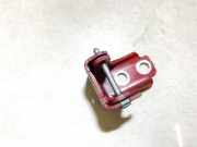 Türscharnier Vorne Citroen DS3, I 2009.01 - 2016.06 Gebraucht,