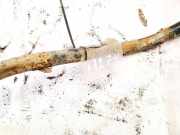 Stabilisator Vorne Volvo S80, 1998.05 - 2004.06 Gebraucht,