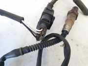 Lambdasonde -4 Drähte WEISS WEISS SCHWARZ GRAU Audi A8, D3 2002.09 - 2005.6 0258006527,