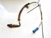 Lambdasonde -4 Drähte WEISS WEISS SCHWARZ GRAU Ford Focus, 2011.04 - 2018 Gebraucht,