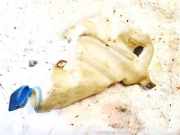 Scheibenwaschbehälter Vorne Wischwasserbehälter Volkswagen Passat, B5 1996.08 - 2000.11 3b0955453f, AFN