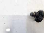 Einspritzdüse Rover 600, 1993.08 - 1999.02 Gebraucht,