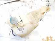 Scheibenwaschbehälter Vorne Wischwasserbehälter Audi 80, B3 1986.06 - 1991.09 893955453b,