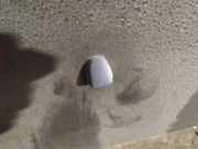 Waschwasserd?se Scheibenreinigung Volvo V50, 2004.04 - 2007.05 Gebraucht,