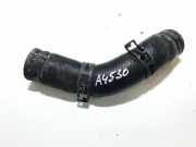 Schlauch für Luftversorgung Lexus GS, III 2005.06 - 2007.06 Gebraucht,