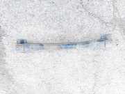 Stoßstangenträger hinten Mazda 2, DE 2007.10 - 2014.06 Gebraucht,