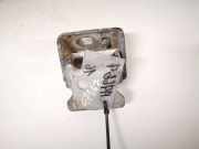 T?rscharnier Vorne Peugeot 207, 2006.02 - 2009.06 Gebraucht,