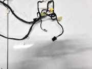 Kabelbaum Tesla Model S, I 2012.01 - 2016.06 F181FPCAA01,