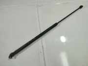 Gasdruckfeder Kofferraum Opel Signum, 2003.05 - 2008.06 Gebraucht,