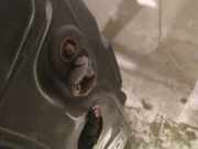 Türfangband Türbremse Türstopper - Vorne Rechts Fiat Bravo, 2006.11 - 2014 Gebraucht,