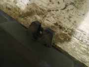 Heckklappe Heckklappenschloss Kofferraumschloss Citroen C4, I 2004.11 - 2008.06 Gebraucht,