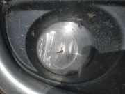 Nebelscheinwerfer - Vorne Rechts Nissan Primera, P12 2002.01 - 2008.12 Gebraucht,