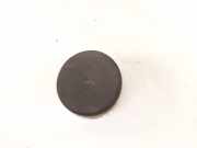 Blende Scheinwerfer - Vorne Volkswagen Golf, V 2003.10 - 2008.10 Gebraucht, BRU