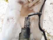 Waschwasserpumpe Scheibenreinigung Nissan Qashqai, I 2006.01 - 2010.06 681155,246091 194414 316568