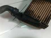 Ladeluftkühler Volkswagen Passat, B5+ 2000.11 - 2005.05 Gebraucht, AVB