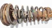 Fahrwerksfeder vorne Nissan Primera, P10 1990.06 - 1996.06 Gebraucht,