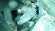 Spannrolle Citroen C3, I 2002.02 - 2005.06 Gebraucht,
