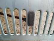 Waschwasserdüse Scheibenreinigung Volkswagen Jetta, MK2 1984.01 - 1992.07 Gebraucht,