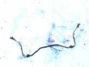 Stabilisator Vorne Volkswagen Vento 1991.11 - 1999.01 Gebraucht,