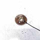 Zahnrad Nockenwelle Audi A6, C6 2005.01 - 2008.10 06e109570,057109116e