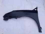 Kotflügel - Vorne Linke Citroen C8, I 2002.07 - 2008.06 pilka,