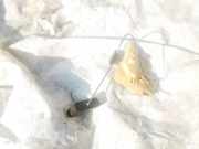 Kraftstoffpumpe Audi A8, D4 2009.11 - 2017.12 Gebraucht,