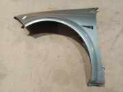 Kotflügel - Vorne Linke Renault Megane, II 2002.11 - 2006.06 Gebraucht,
