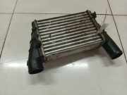 Ladeluftkühler Volkswagen Passat, B5 1996.08 - 2000.11 Gebraucht, AFN