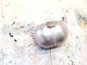 Druckspeicher Mercedes-Benz C219, I 2004.10 - 2011.01 Gebraucht,