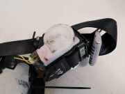 Sicherheitsgurt - Vorne Rechts Mazda 5, CR 2005.02 - 2010.09 t89334t,