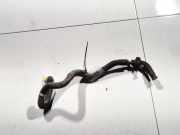 K?hlerschlauch Fiat Punto, 1999.09 - 2005.10 280501,