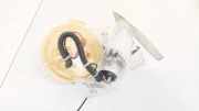 Kraftstoffpumpe BMW 5-Series, F07F10 F11 2010.03 - 2016.12 Gebraucht,