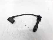 Zündkabel Chevrolet Captiva, 2006.01 - 2011.06 12262,