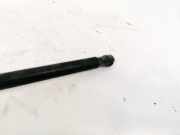 Gasfeder für Motorhaube Dodge Caliber, 2006.08 - 2009.01 Gebraucht ,